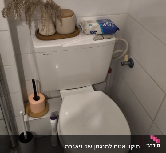 אסלה עם מיכל הדחה, מברשת ניקוי ונייר טואלט
